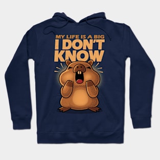 Confused Capybara - I don't know Hoodie